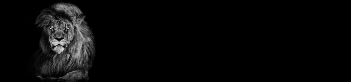 Lincoln High School PTSA