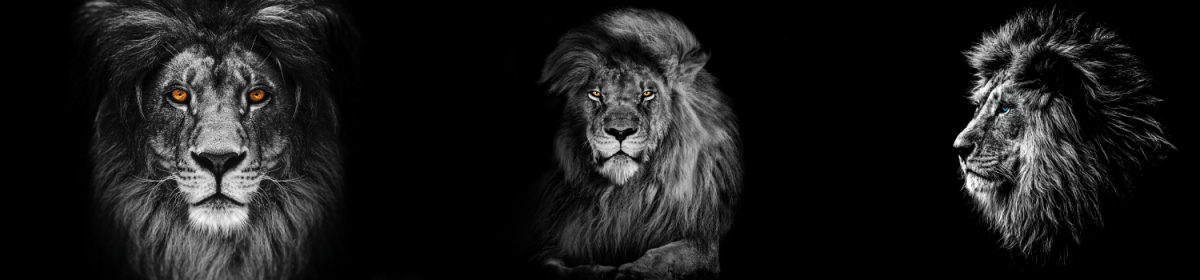 Lincoln High School PTSA