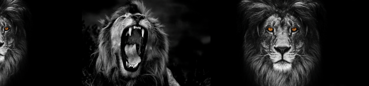 Lincoln High School PTSA